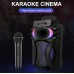Портативна акумуляторна Bluetooth колонка Sing-E ZQS10101, 20 Вт, 1х10", висота 45 см, з 2 мікрофонами