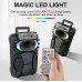 Портативна акумуляторна Bluetooth колонка Sing-E ZQS10101, 20 Вт, 1х10", висота 45 см, з 2 мікрофонами