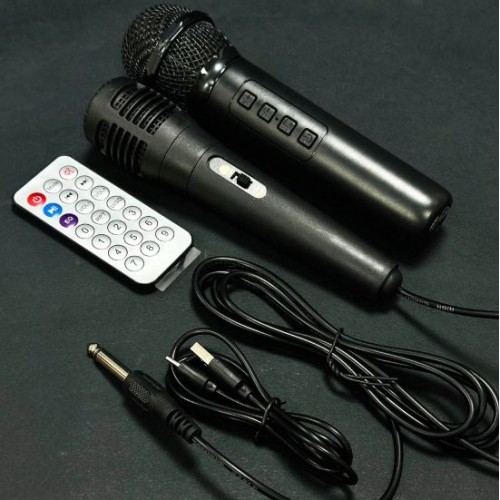 Портативна акумуляторна Bluetooth колонка Sing-E ZQS10102, 20 Вт, 1х10", висота 49 см, з 2 мікрофонами