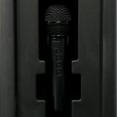 Портативна акумуляторна Bluetooth колонка Sing-E ZQS10102, 20 Вт, 1х10", висота 49 см, з 2 мікрофонами