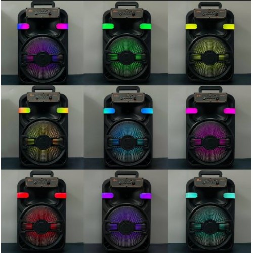 Портативна акумуляторна Bluetooth колонка Sing-E ZQS10102, 20 Вт, 1х10", висота 49 см, з 2 мікрофонами