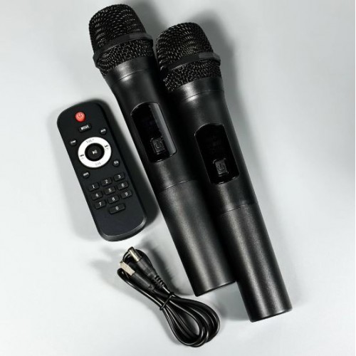 Портативна акумуляторна Bluetooth колонка Sing-E ZQS10218, 60 Вт, 2×10", висота 74 см, з 2 мікрофонами