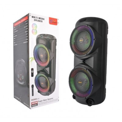 Портативна акумуляторна Bluetooth колонка Sing-E ZQS12206, 60 Вт, 2×12", висота 90 см, з мікрофоном
