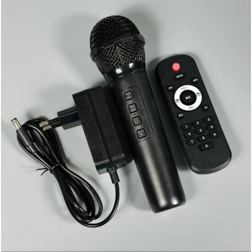 Портативна акумуляторна Bluetooth колонка Sing-E ZQS12206, 60 Вт, 2×12", висота 90 см, з мікрофоном