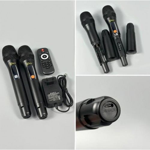 Портативна акумуляторна Bluetooth колонка Sing-E ZQS12212, 160 Вт, 2×12", висота 95 см, з 2 мікрофонами