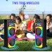 Портативна акумуляторна Bluetooth колонка Sing-E ZQS12213, 80 Вт, 2×12", висота 94 см, з мікрофоном