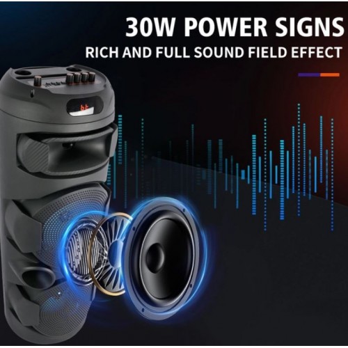 Портативна акумуляторна Bluetooth колонка Sing-E ZQS2801, 40 Вт, 2×8", висота 75 см, з 1 мікрофоном