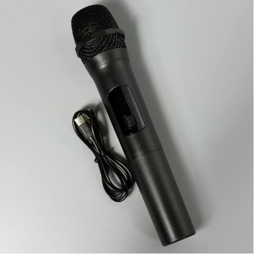Портативна акумуляторна Bluetooth колонка Sing-E ZQS2806, 20 Вт, 2×8", висота 64 см, з 1 мікрофоном