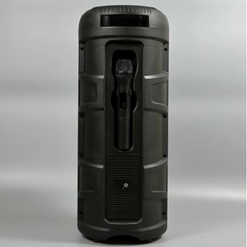 Портативна акумуляторна Bluetooth колонка Sing-E ZQS2806, 20 Вт, 2×8", висота 64 см, з 1 мікрофоном