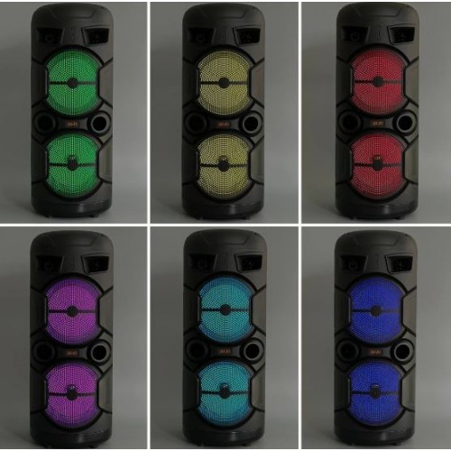 Портативна акумуляторна Bluetooth колонка Sing-E ZQS2806, 20 Вт, 2×8", висота 64 см, з 1 мікрофоном
