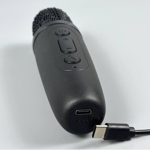 Портативна акумуляторна Bluetooth колонка Sing-E ZQS-W3101 Mini, 8 Вт, 1×3", висота 15 см, з мікрофоном