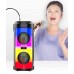 Портативна акумуляторна Bluetooth колонка Sing-E ZQS4248, 30 Вт, 2×6.5", висота 41 см, з 1 мікрофоном