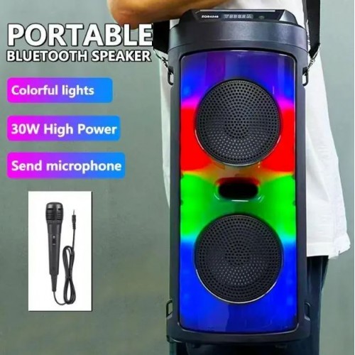 Портативна акумуляторна Bluetooth колонка Sing-E ZQS4248, 30 Вт, 2×6.5", висота 41 см, з 1 мікрофоном
