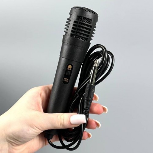 Портативна акумуляторна Bluetooth колонка Sing-E ZQS4293, 20 Вт, 2×4", висота 40 см, з 1 мікрофоном