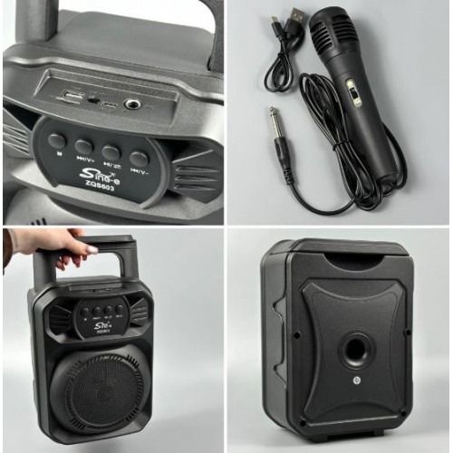 Портативна акумуляторна Bluetooth колонка Sing-E ZQS603, 10 Вт, 1×6.5", висота 27 см, з мікрофоном