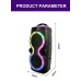Портативна акумуляторна Bluetooth колонка Sing-E ZQS6236, 30 Вт, 2×6.5", висота 57 см, з 1 мікрофоном
