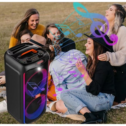 Портативна акумуляторна Bluetooth колонка Sing-E ZQS6238, 40 Вт, 2×6.5", висота 54 см, з 1 мікрофоном