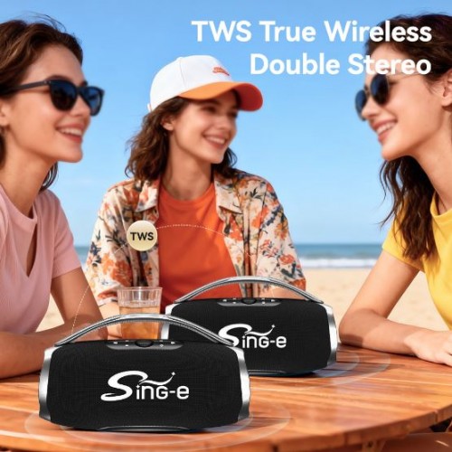 Портативна акумуляторна Bluetooth колонка Sing-E CQS-S661, 200 Вт, 2х4" + 2х2", висота 21 см, з 2 мікрофонами
