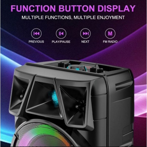 Портативна акумуляторна Bluetooth колонка Sing-E ZQS8210, 40 Вт, 2×8", висота 72 см, з 1 мікрофоном