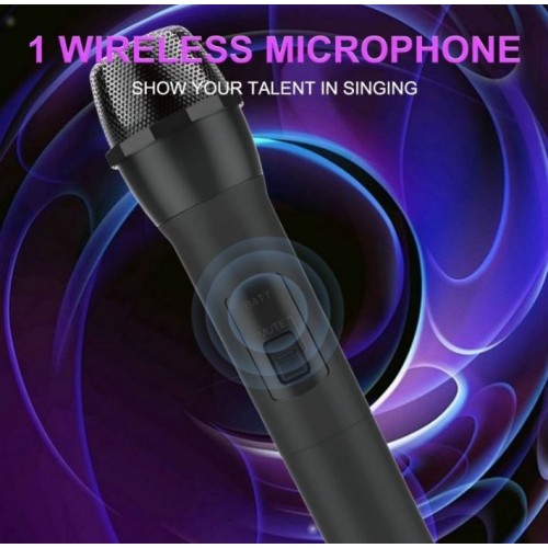 Портативна акумуляторна Bluetooth колонка Sing-E ZQS8210, 40 Вт, 2×8", висота 72 см, з 1 мікрофоном