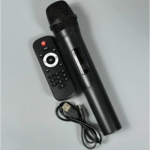 Портативна акумуляторна Bluetooth колонка Sing-E ZQS8220S, 40 Вт, 2×8", висота 80 см, з 1 мікрофоном