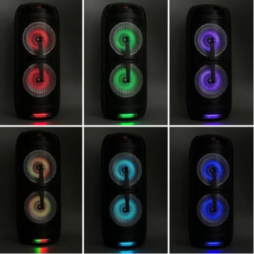 Портативна акумуляторна Bluetooth колонка Sing-E ZQS8270, 40 Вт, 2×8", висота 66 см, з 1 мікрофоном