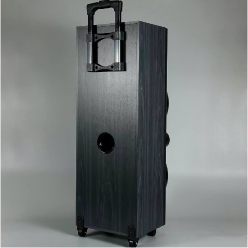 Портативна акумуляторна Bluetooth колонка Sing-E JQS9033, 60 Вт, 2×10", висота 90 см, з 2 мікрофонами