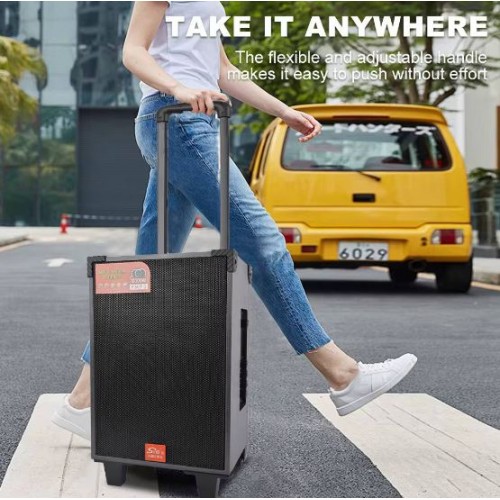 Портативна акумуляторна Bluetooth колонка Sing-E ZQS908S, 40 Вт, 1×8", висота 41 см, з мікрофоном