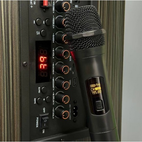 Портативна акумуляторна Bluetooth колонка Sing-E JQS910S, 50 Вт, 1×10", висота 50 см, з 2 мікрофонами