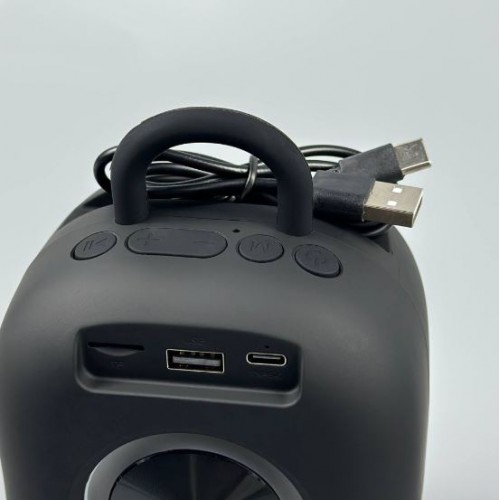 Портативна акумуляторна Bluetooth колонка Sing-E CQS D21, 15 Вт, 1×2.5", висота 16 см, з мікрофоном