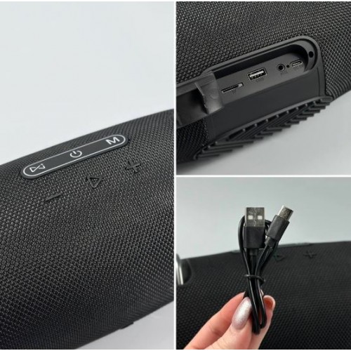 Портативна акумуляторна Bluetooth колонка Sing-E ZQS-L33, 50 Вт, 2х2.5", висота 15 см
