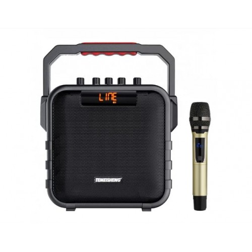 Портативна акумуляторна Bluetooth колонка Temeisheng SL05-26, 50 Вт, 5" з мікрофоном