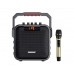 Портативна акумуляторна Bluetooth колонка Temeisheng SL05-26, 50 Вт, 5" з мікрофоном
