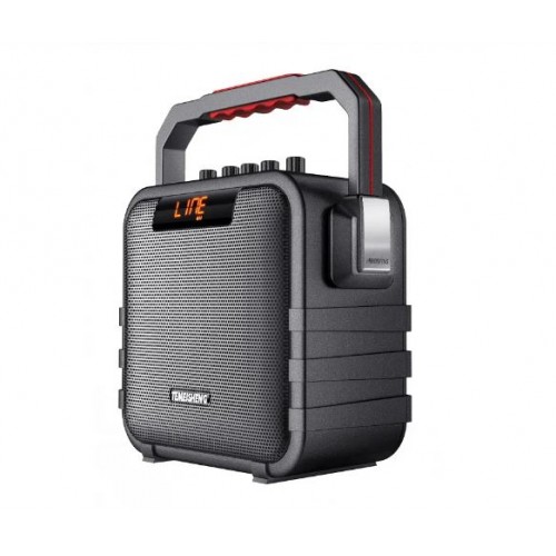 Портативна акумуляторна Bluetooth колонка Temeisheng SL05-26, 50 Вт, 5" з мікрофоном