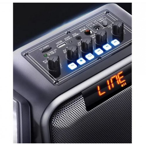 Портативна акумуляторна Bluetooth колонка Temeisheng SL05-26, 50 Вт, 5" з мікрофоном