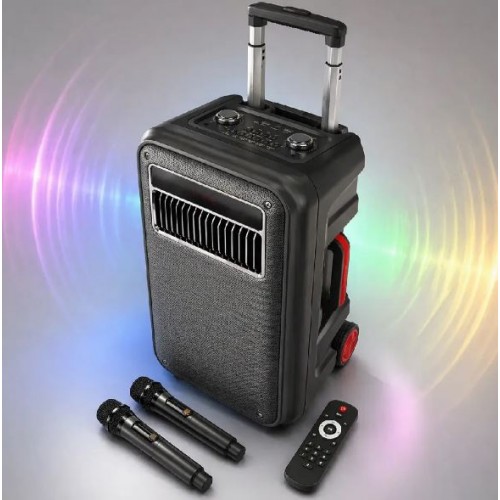 Портативна акумуляторна Bluetooth колонка Temeisheng SL 10-22, 60 Вт, 1×10" з 2 мікрофонами