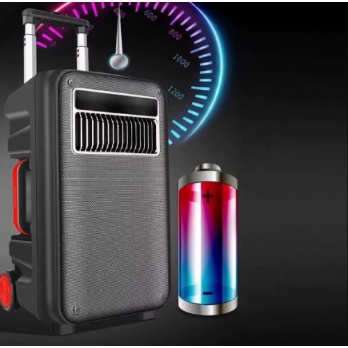 Портативна акумуляторна Bluetooth колонка Temeisheng SL 10-22, 60 Вт, 1×10" з 2 мікрофонами