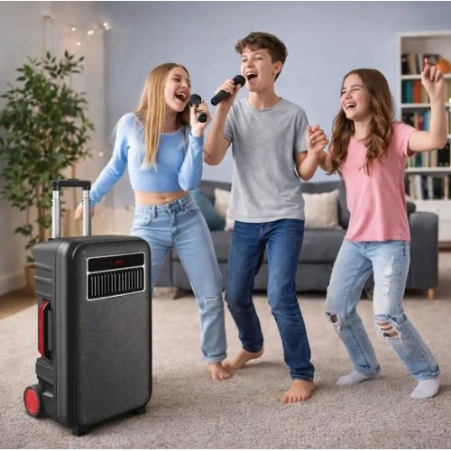 Портативна акумуляторна Bluetooth колонка Temeisheng SL 10-22, 60 Вт, 1×10" з 2 мікрофонами