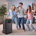 Портативна акумуляторна Bluetooth колонка Temeisheng SL 10-22, 60 Вт, 1×10" з 2 мікрофонами