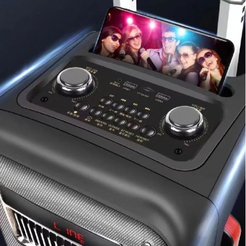 Портативна акумуляторна Bluetooth колонка Temeisheng SL 10-22, 60 Вт, 1×10" з 2 мікрофонами