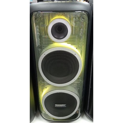 Портативна акумуляторна Bluetooth колонка Temeisheng 1022BF, 120 Вт, 2×10" з 2 мікрофонами