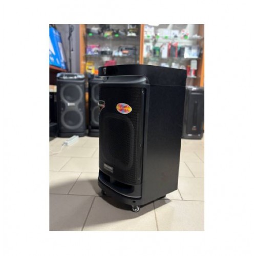 Портативна акумуляторна Bluetooth колонка Temeisheng TMS-10291, 300 Вт, 1×10", висота 66 см, з 2 мікрофонами