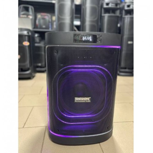 Портативна акумуляторна Bluetooth колонка Temeisheng 1221-A6, 80 Вт, 1×12", висота 66 см, з 2 мікрофонами