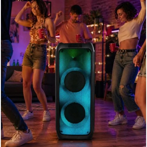 Портативна акумуляторна Bluetooth колонка Temeisheng FG210-08, 120 Вт, 2×10" з 2 мікрофонами