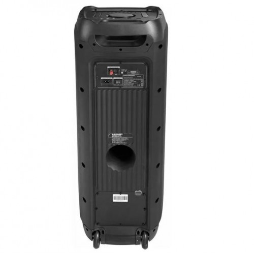 Портативна акумуляторна Bluetooth колонка Temeisheng FG210-08, 120 Вт, 2×10" з 2 мікрофонами