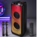 Портативна акумуляторна Bluetooth колонка Temeisheng FG210-08, 120 Вт, 2×10" з 2 мікрофонами