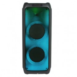 Портативна акумуляторна Bluetooth колонка Temeisheng FG210-08, 120 Вт, 2×10" з 2 мікрофонами