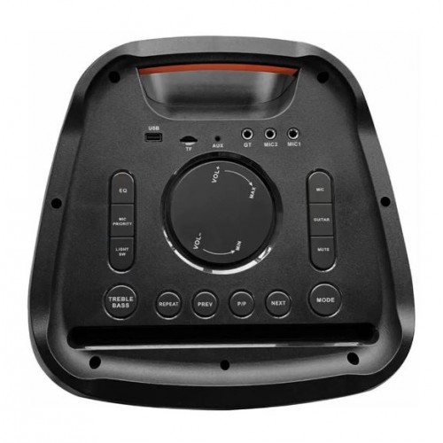 Портативна акумуляторна Bluetooth колонка Temeisheng FG210-08, 120 Вт, 2×10" з 2 мікрофонами