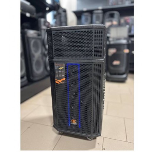Портативна акумуляторна Bluetooth колонка Temeisheng SG30-208, 500 Вт, 2×8", висота 70 см, з 2 мікрофонами