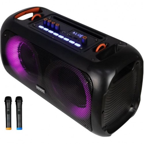 Портативна акумуляторна Bluetooth колонка Temeisheng TMS-6616, 100 Вт, 2×6.5", висота 32 см, з 2 мікрофонами